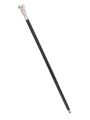 Cane bastone passeggio - cane,