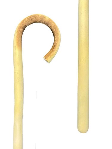 Bastone passeggio legno - in,