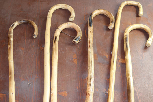 Bastone passeggio legno - bastone,
